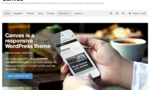 Canvas-WordPress-Theme-422x338