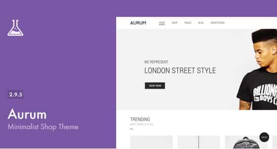 Aurum – Minimalist Shopping Theme 4.0.1