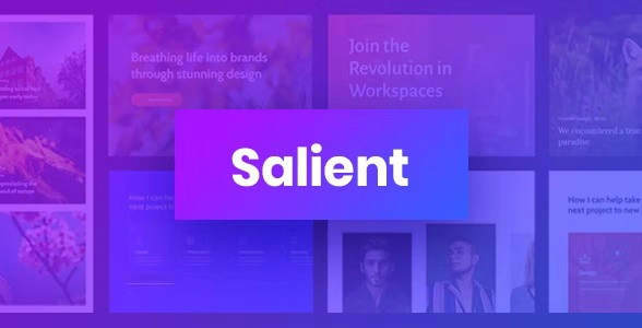 Salient – Responsive Multi-Purpose Theme 17.0.5