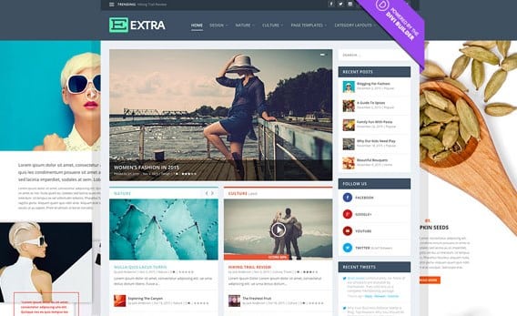 Elegant Themes Extra WordPress Theme 4.27.2