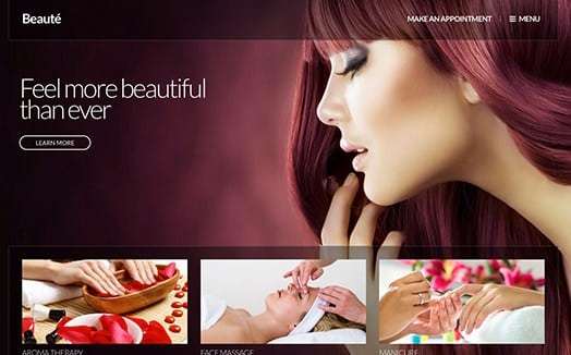 CSS Igniter Beaute WordPress Theme 2.0.6