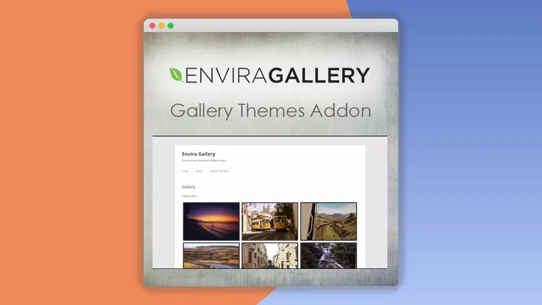 Envira Gallery – Gallery Themes Addon 2.0.6