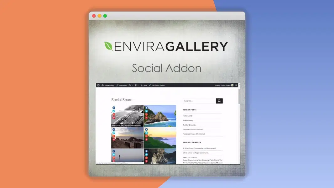 Envira Gallery – Social Addon 1.6.10
