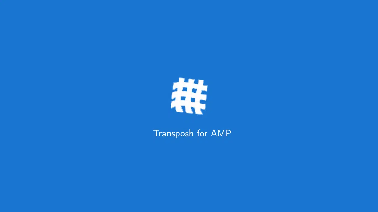 Transposh for AMP 1.0
