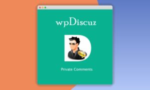 wpDiscuz – Private Comments